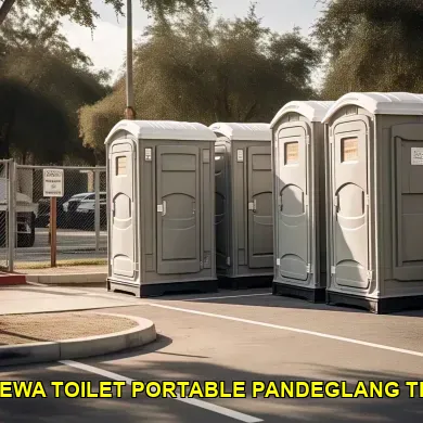 jasa sewa toilet portable pandeglang terbaik